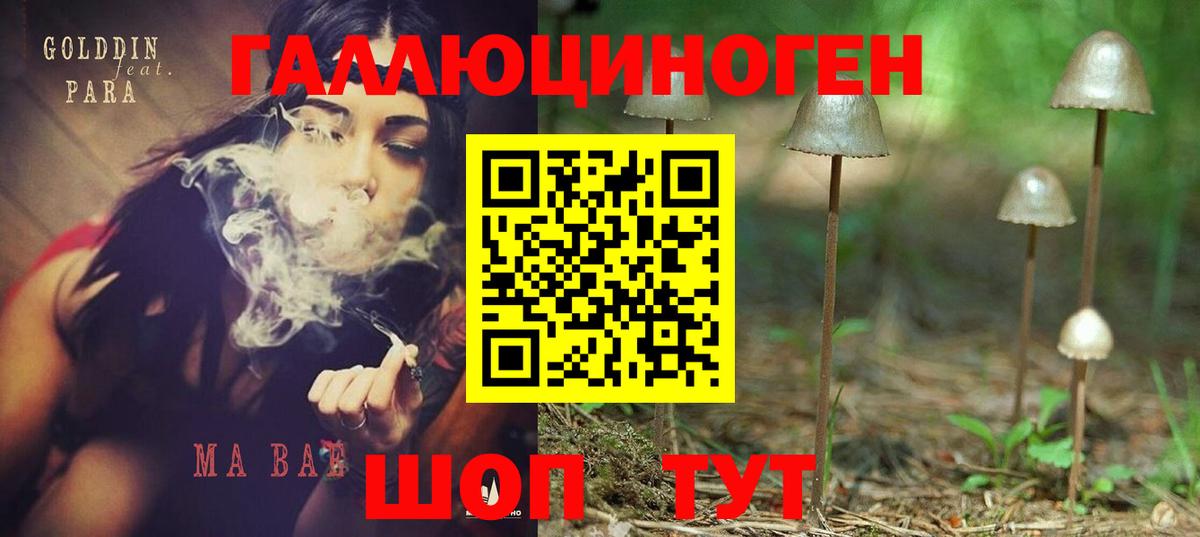 Галлюциногенные грибы прущие грибы Кизляр